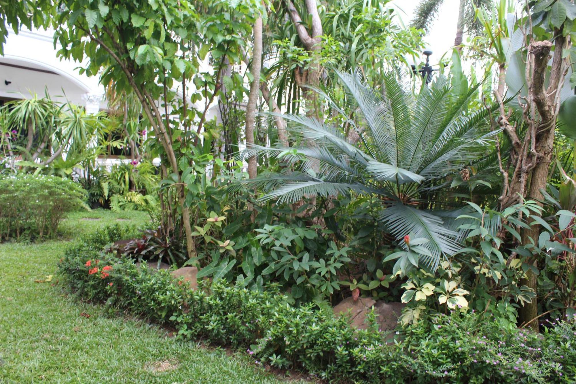 White Elephant Resort Surin Eksteriør bilde