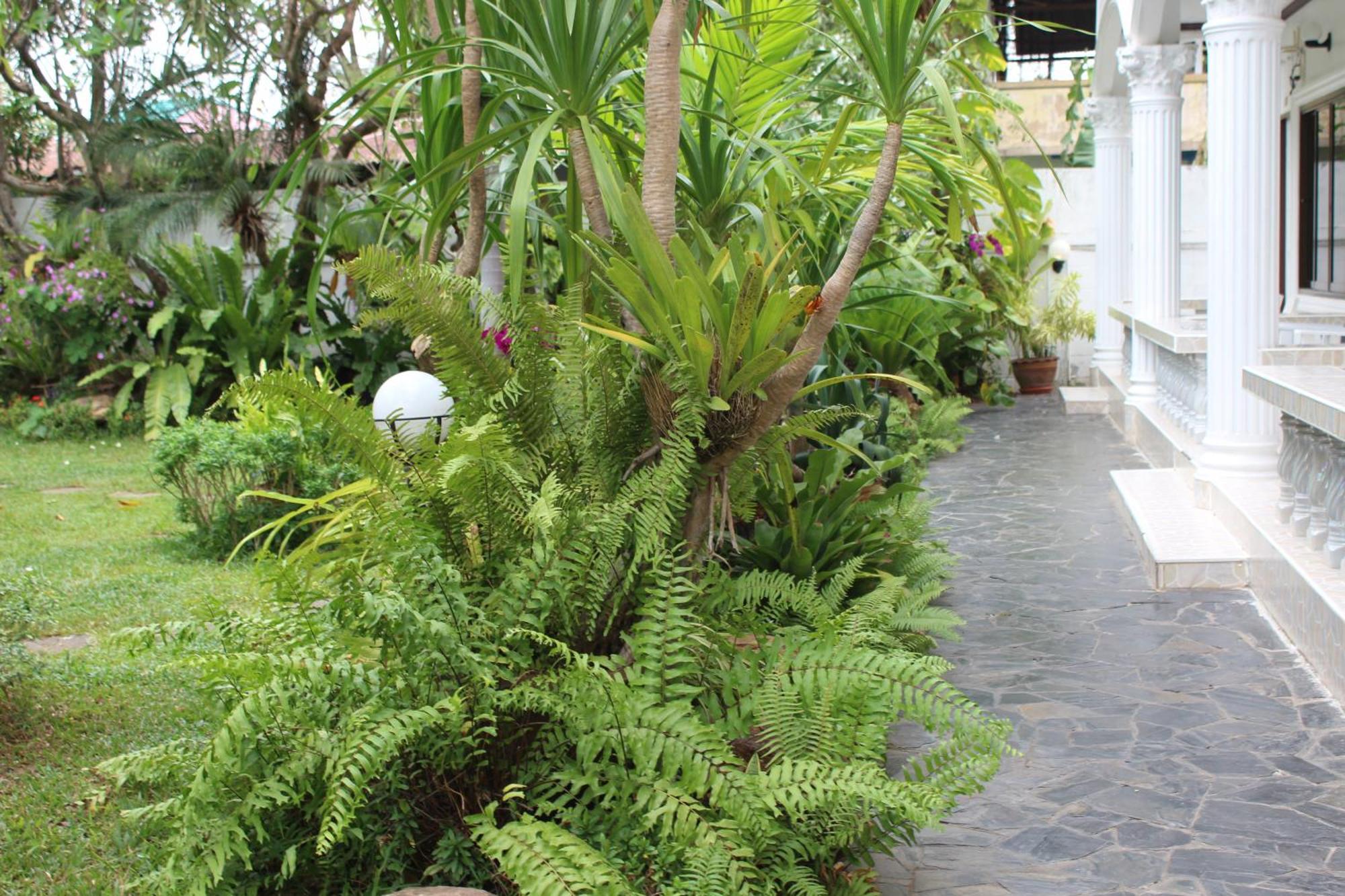 White Elephant Resort Surin Eksteriør bilde